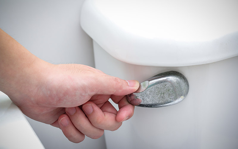 Putman and Sons Plumbing Flush Your Worries Away 2016