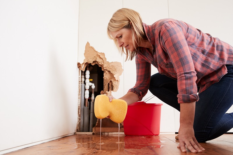 Putman and Sons Plumbing What to Do If a Pipe Bursts in Your Home