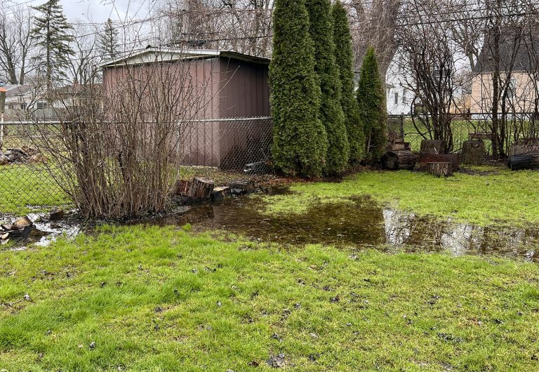 Poor Outdoor Drainage