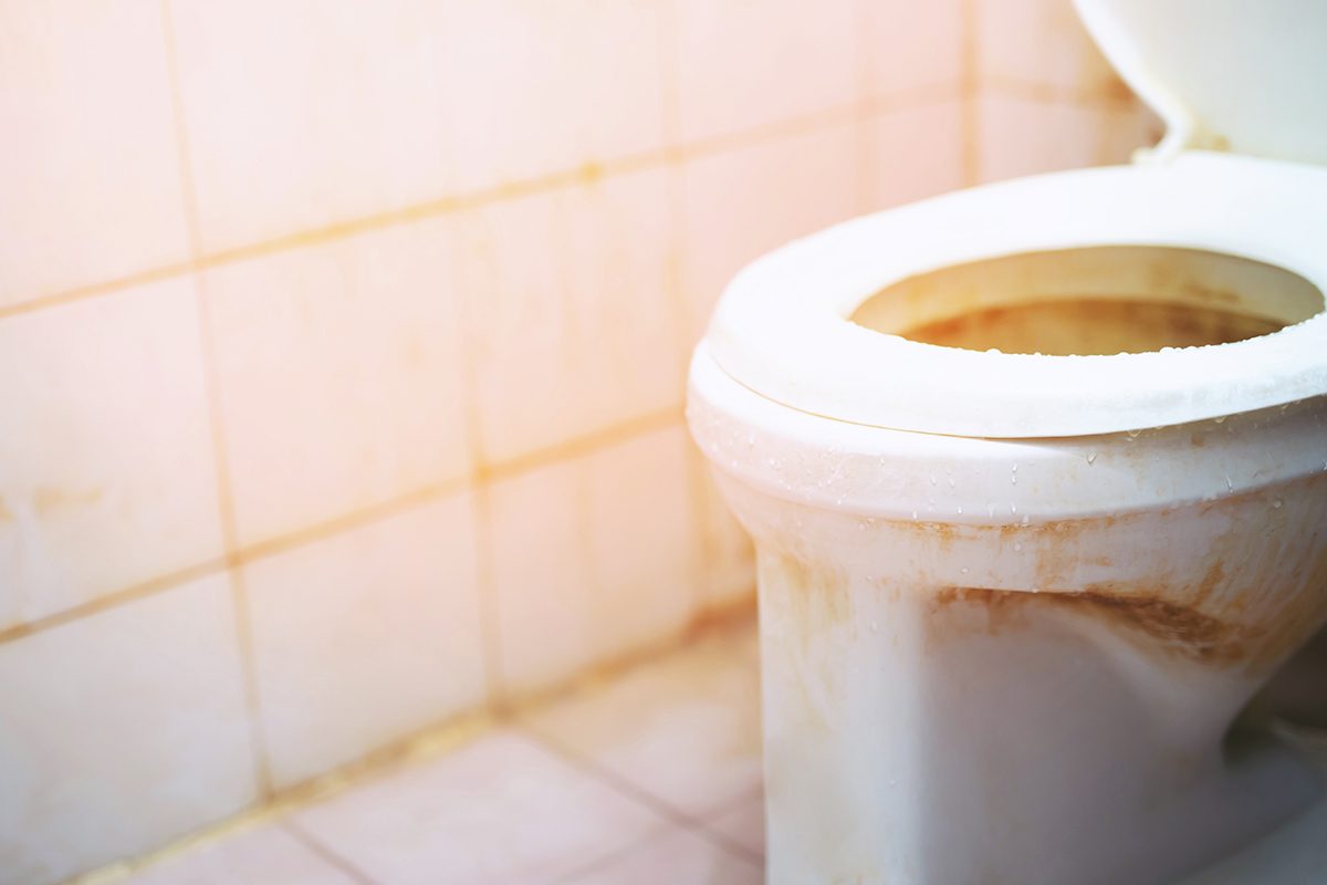 The Most Effective Ways to Remove Rust From Your Toilet Putman & Son
