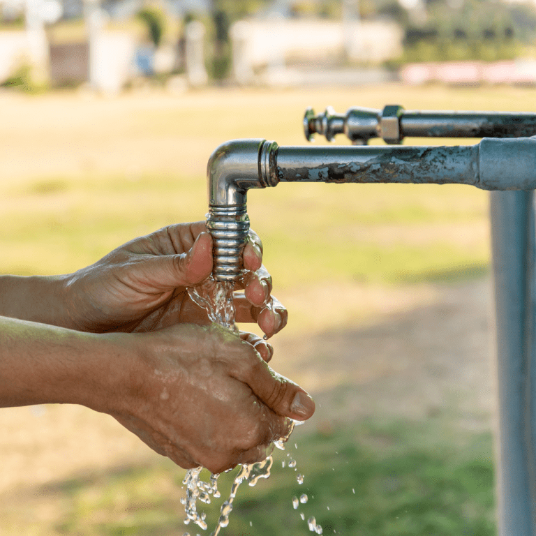 Saving Water and Money in the Summer