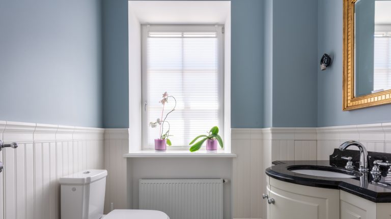 Banishing Bathroom Mold