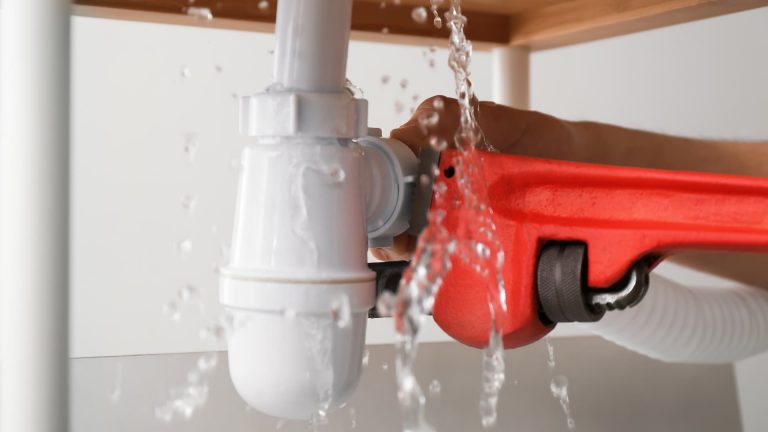 Health-Friendly Drain Cleaning