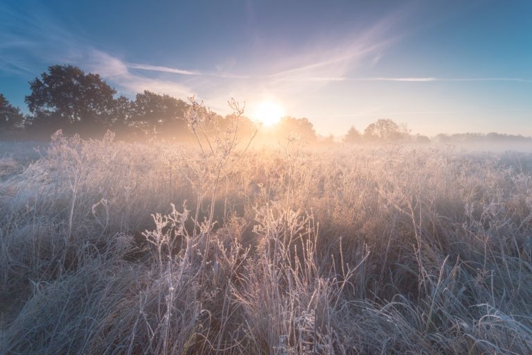 How Seasonal Weather Impacts Your Plumbing System