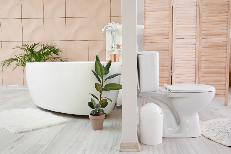 Interior of clean modern bathroom