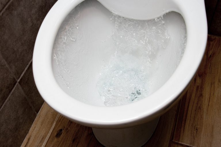 Why Your Toilet Is Gurgling, Whistling, or Banging