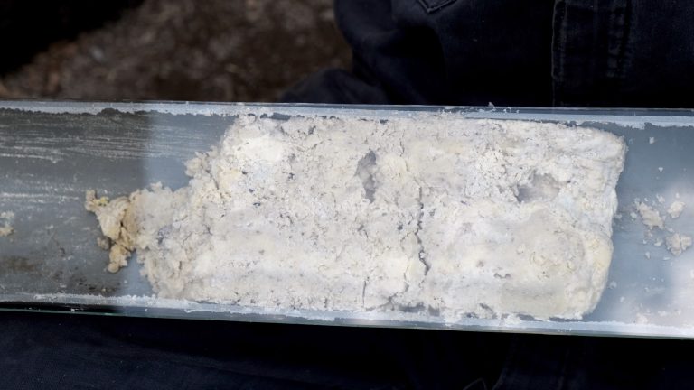 Why Pouring Grease Down the Drain Can Cause Major Plumbing Problems