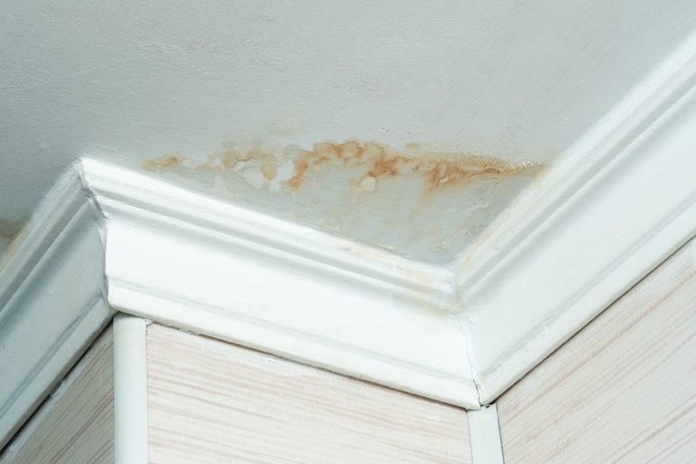 Why Is Water Leaking Through the Ceiling After a Shower?