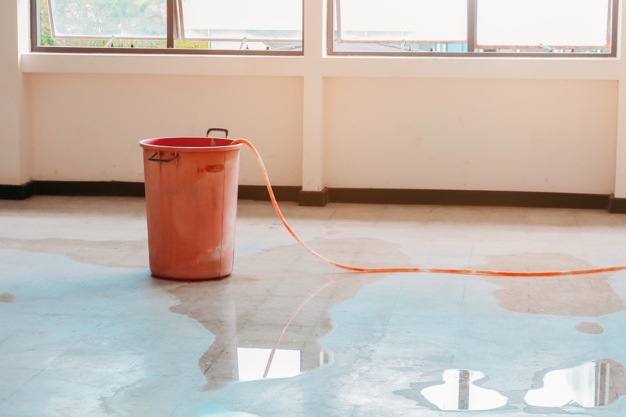 How to Protect Your Home from Water Damage Year-Round