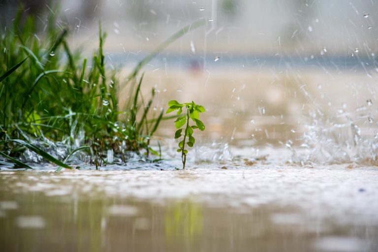 Torrential downpour and stormwater runoff on a lawn, highlighting when to check drainage systems with Putman & Son’s Plumbing.