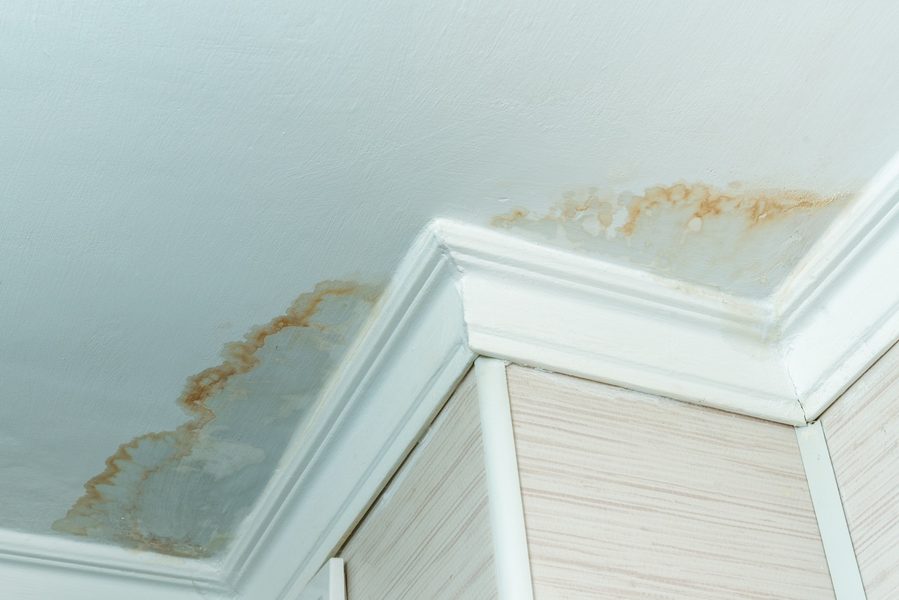 Water damage stain on ceiling near crown molding