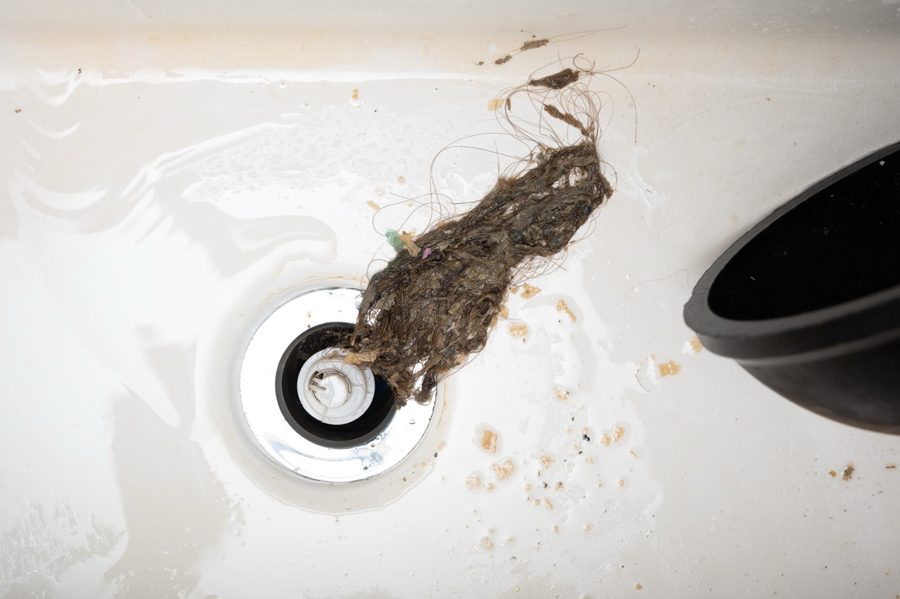 Hair and debris buildup pulled from a clogged sink drain