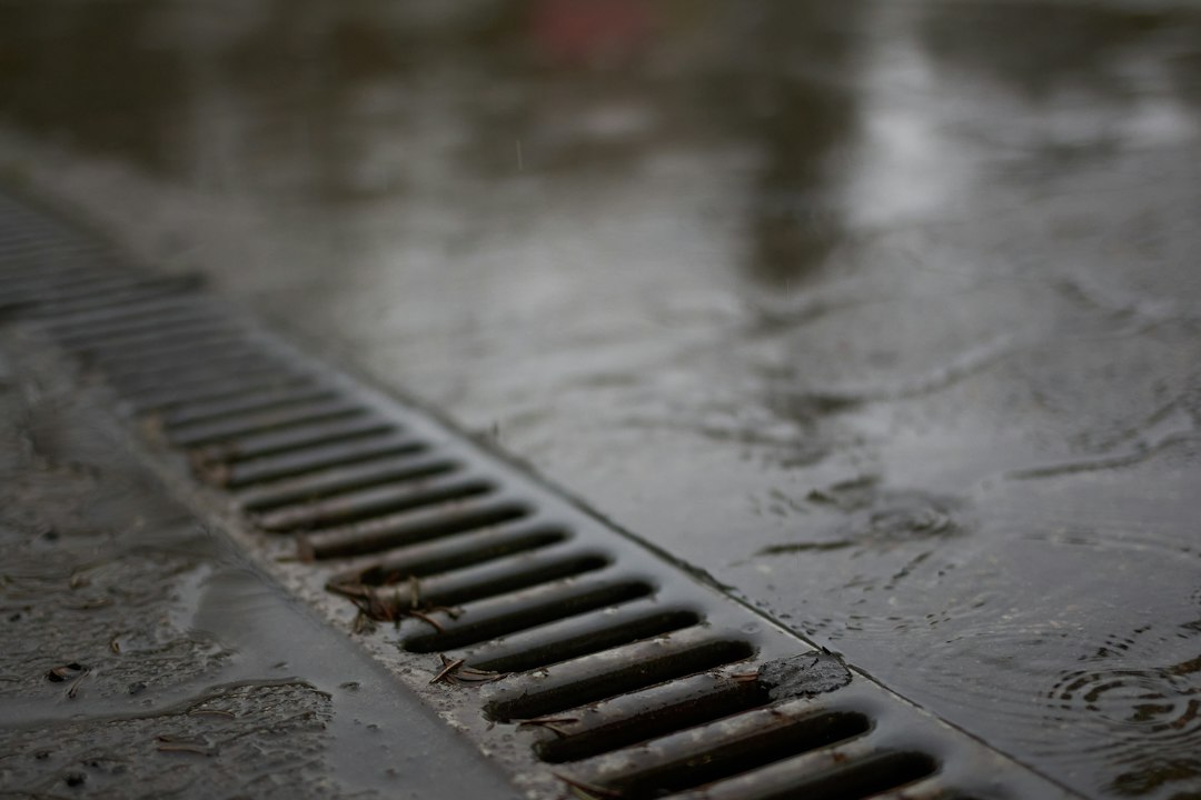 Wet drain illustrating professional sewer cleaning in Metro Detroit